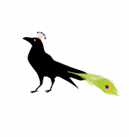Greenwashing: the raven